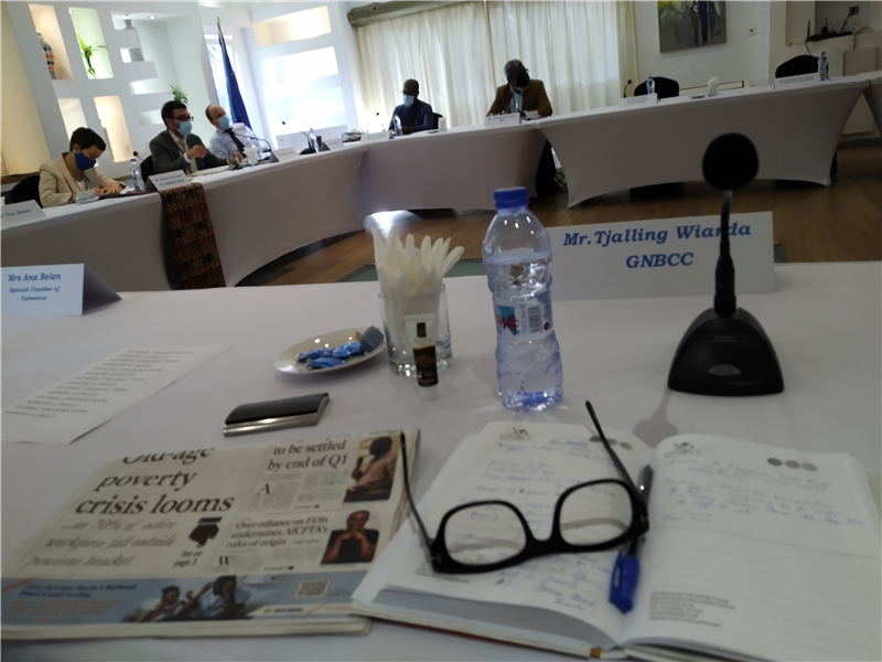 EU - Private Sector dialogue Meeting 
